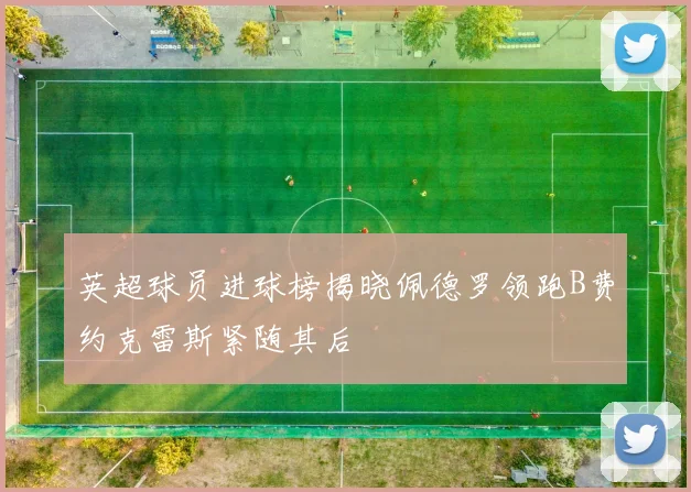 英超球员进球榜揭晓佩德罗领跑B费约克雷斯紧随其后