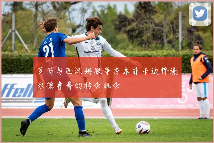 罗马与西汉姆联争夺本菲卡边锋谢尔德鲁普的转会机会