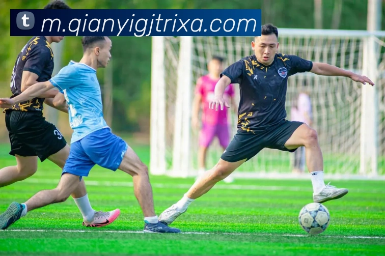 多媒体互动体验